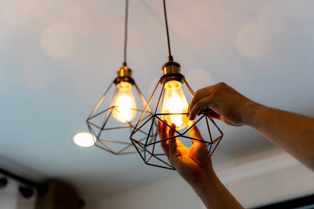 Best Licensed Electrician  in Meadow Les, AK