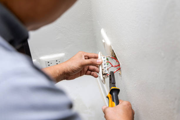 Best Electrician Near Me  in Meadow Les, AK